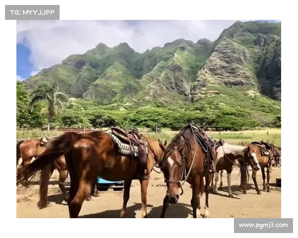 刚果与美国传统在怀斯曼文化节上的精彩展示 刚果与美国传统在怀斯曼文化节上的精彩展示